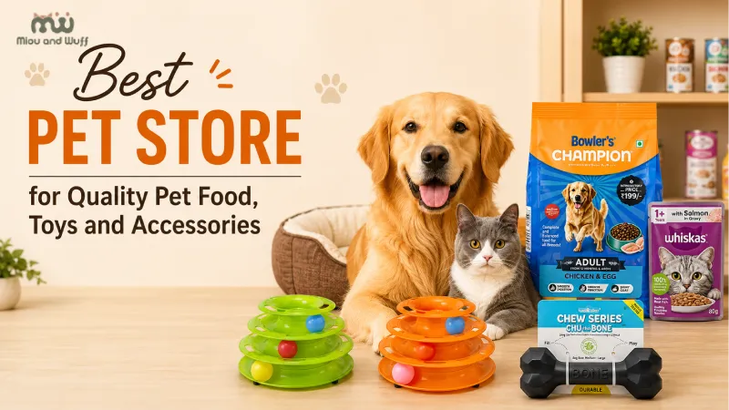 Best Pet Store for Quality Pet Food, Toys and Accessories