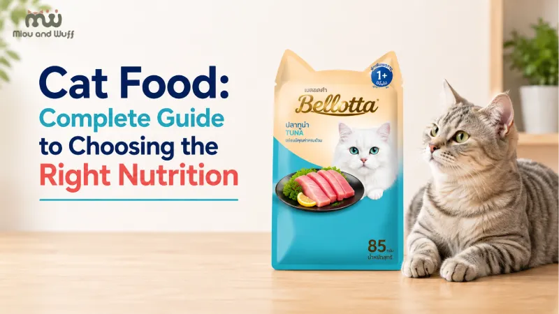 Cat Food: Complete Guide to Choosing the Right Nutrition