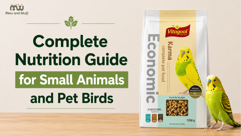 Complete nutrition guide for small animals and pet birds — Miou and Wuff, Ahmedabad