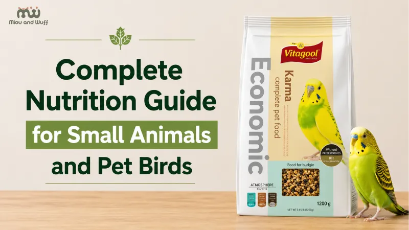Complete nutrition guide for small animals and pet birds — Miou and Wuff, Ahmedabad
