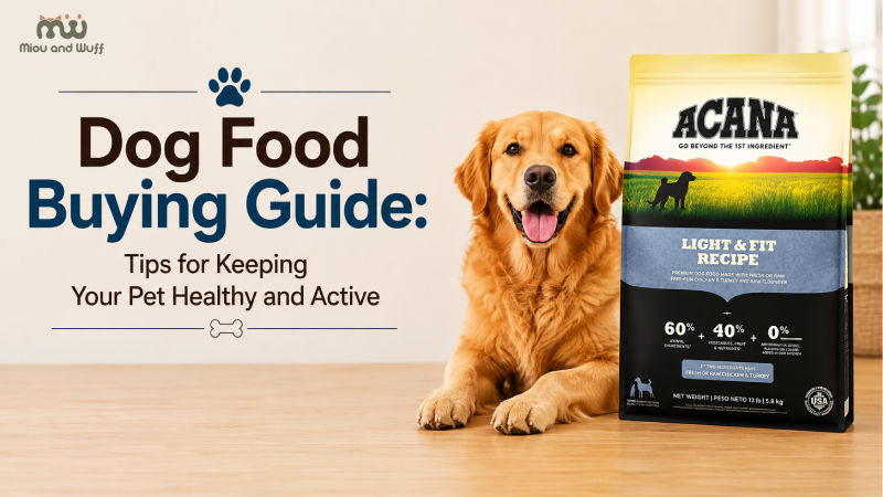 Dog food buying guide for a healthy, active pet — Miou and Wuff, Ahmedabad
