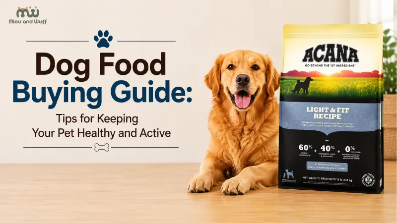 Dog food buying guide for a healthy, active pet — Miou and Wuff, Ahmedabad