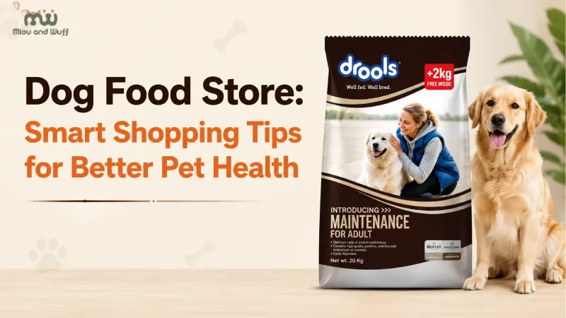 Dog Food Store: Smart Shopping Tips for Better Pet Health