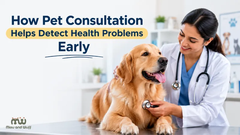How Pet Consultation Helps Detect Health Problems Early