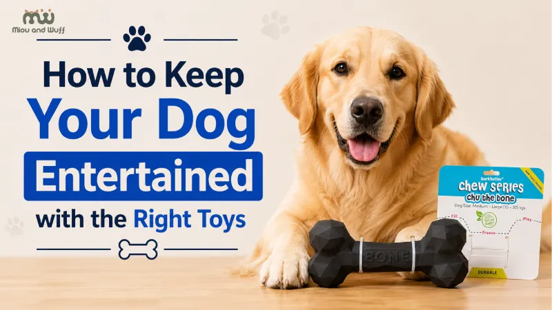 How to keep your dog entertained with the right toys — Miou and Wuff, Ahmedabad