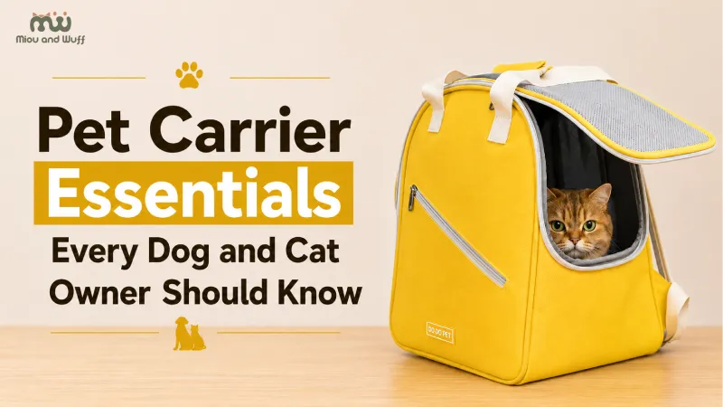 Pet carrier essentials every dog and cat owner should know — Miou and Wuff, Ahmedabad