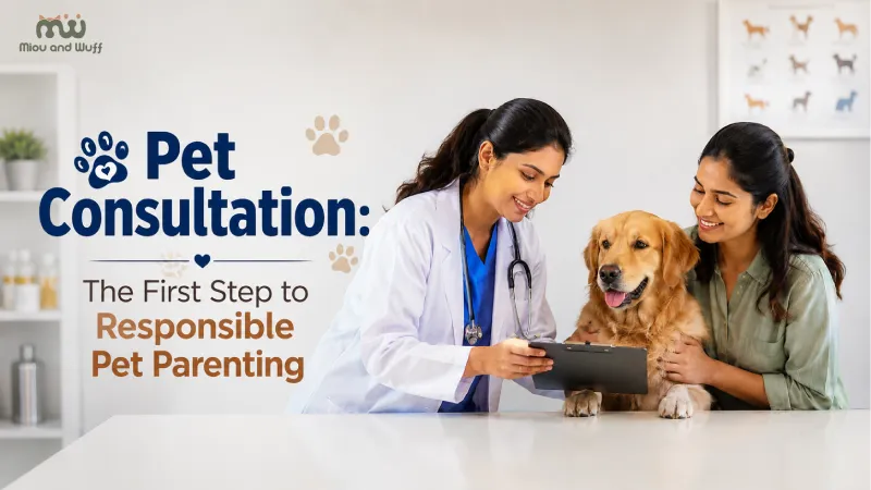 Pet consultation — the first step to responsible pet parenting — Miou and Wuff, Ahmedabad