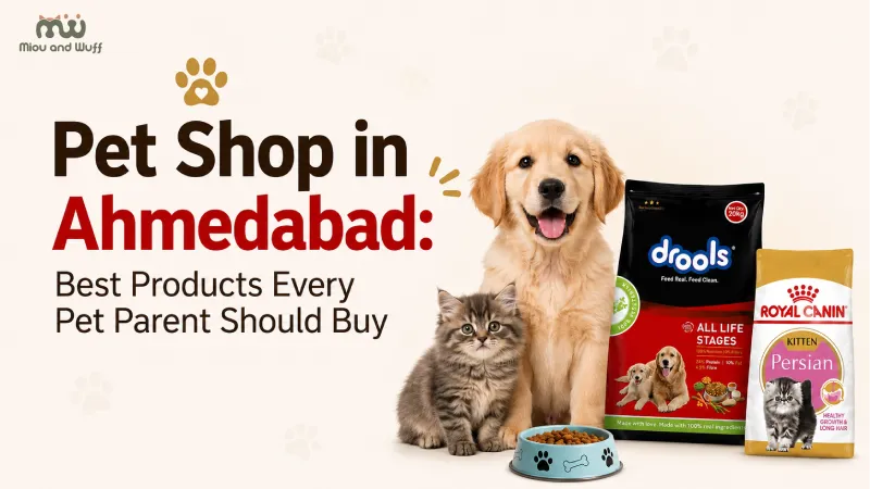 Best products to buy from a pet shop in Ahmedabad — Miou and Wuff