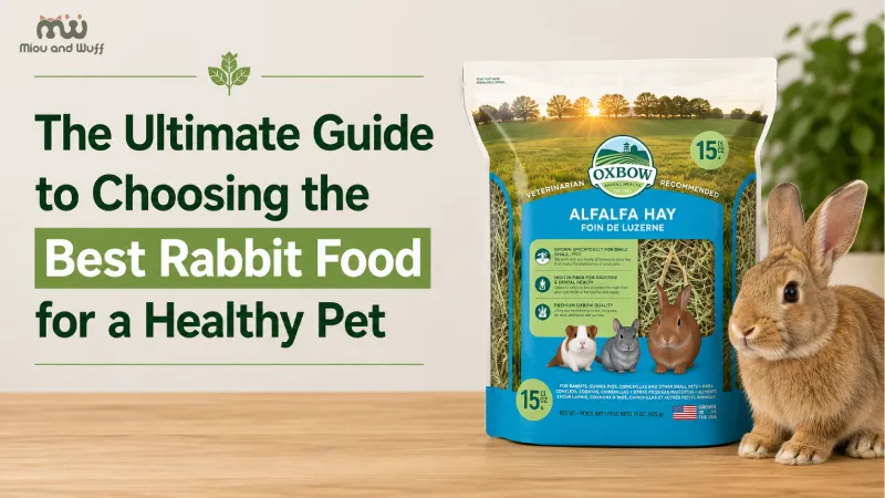 Best rabbit food for a healthy pet — Miou and Wuff, Ahmedabad