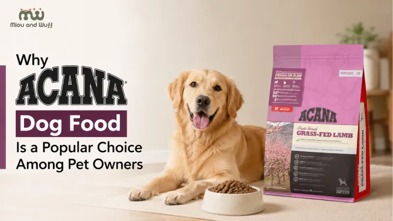 	Why Acana Dog Food Is a Popular Choice Among Pet Owners