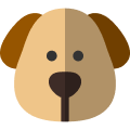 For Dogs