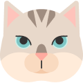 For Cats