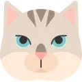 For Cats