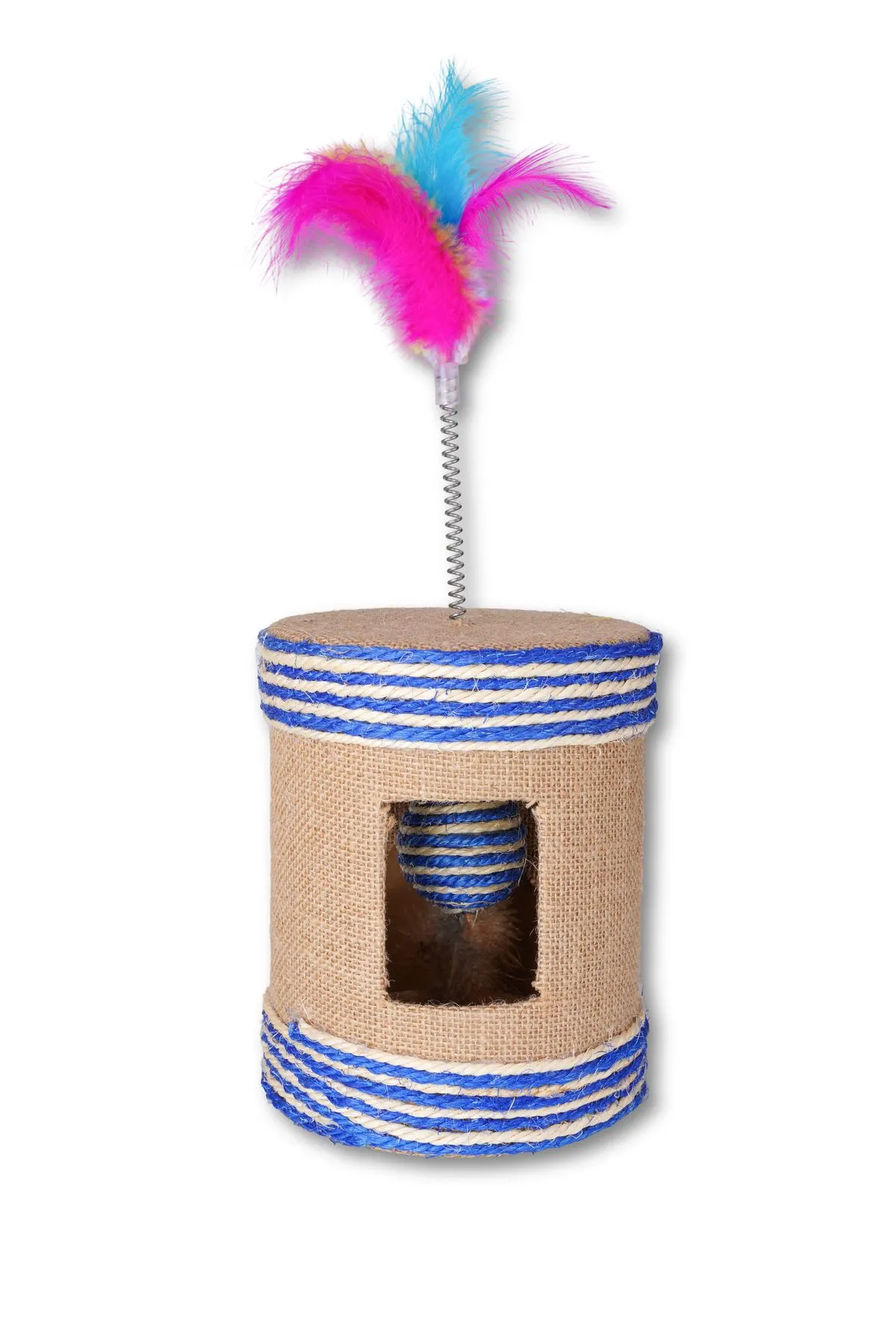 Companion Needs Cat Scratcher Rainbow Fur