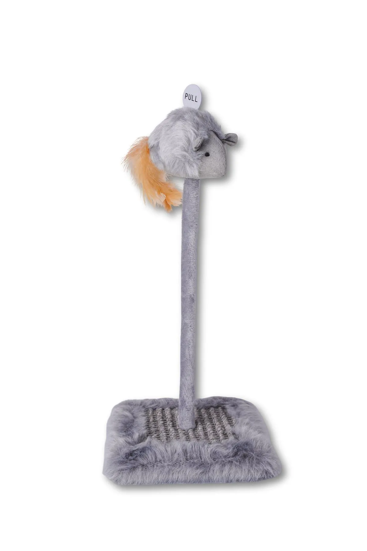 Companion Needs Cat Teasing Toy