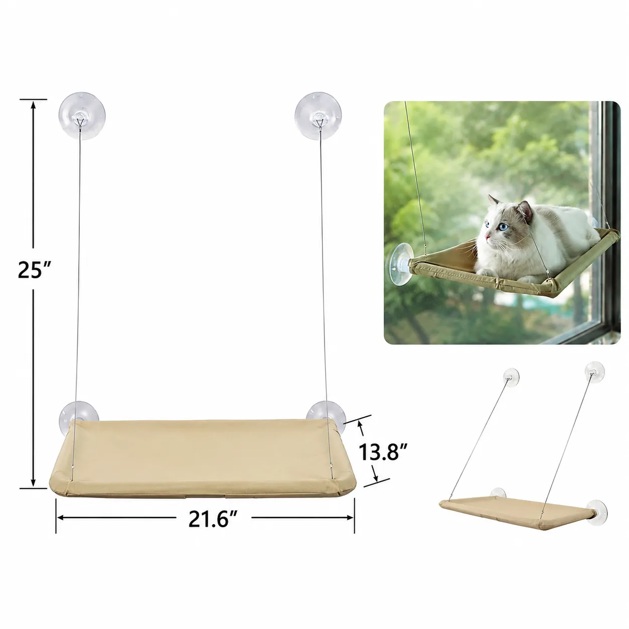 Companion Needs Cat Swing