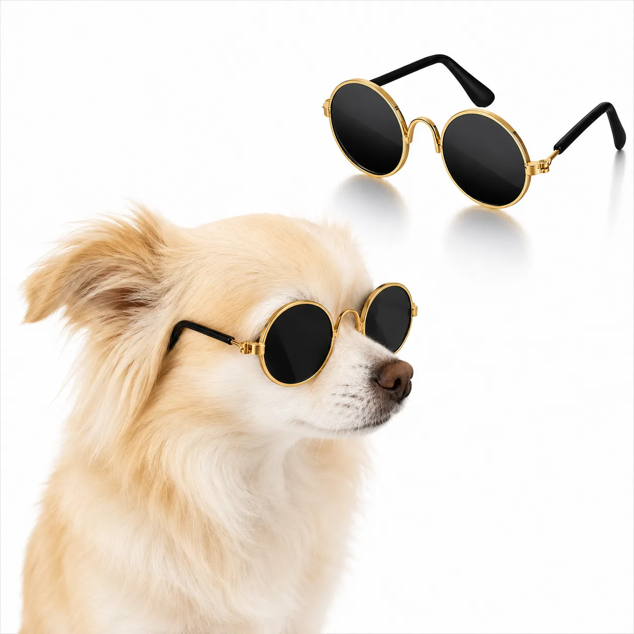 Whoof Whoof Sun Glasses