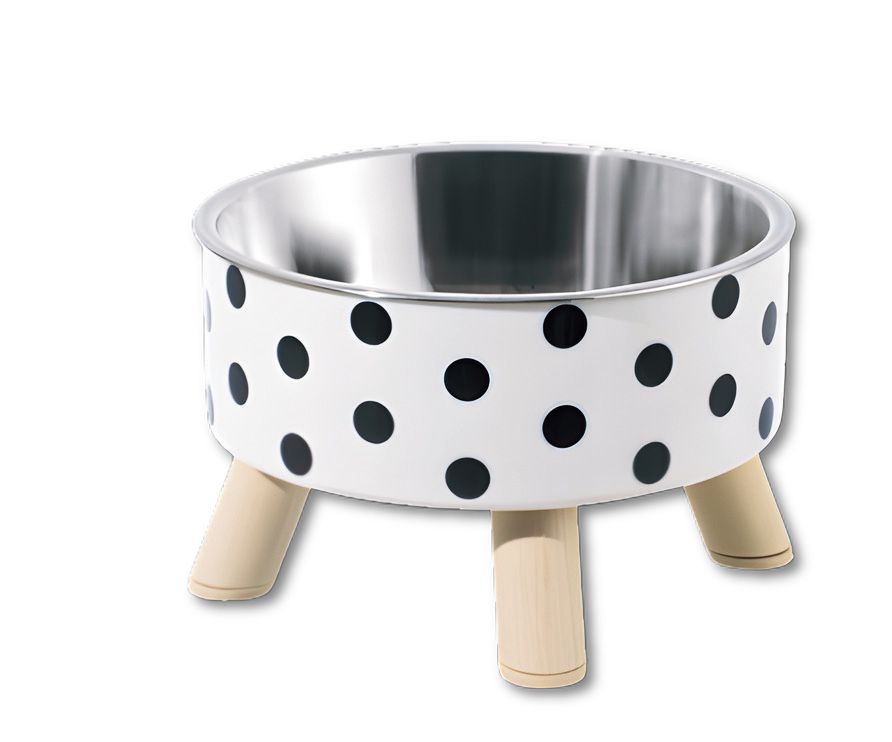 Companion Needs Prime Elevated Bowl