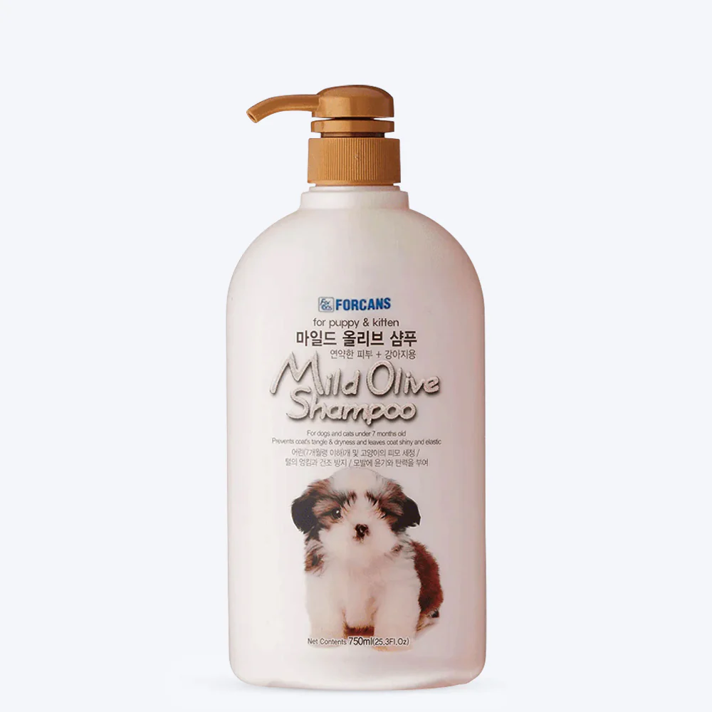 Forcans Mild Olive Shampoo