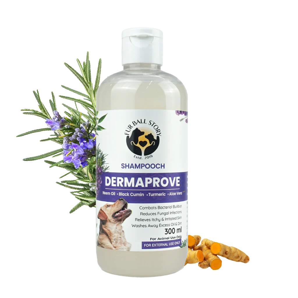 FurBall Story Dermaprove Antifungal Dog Shampoo