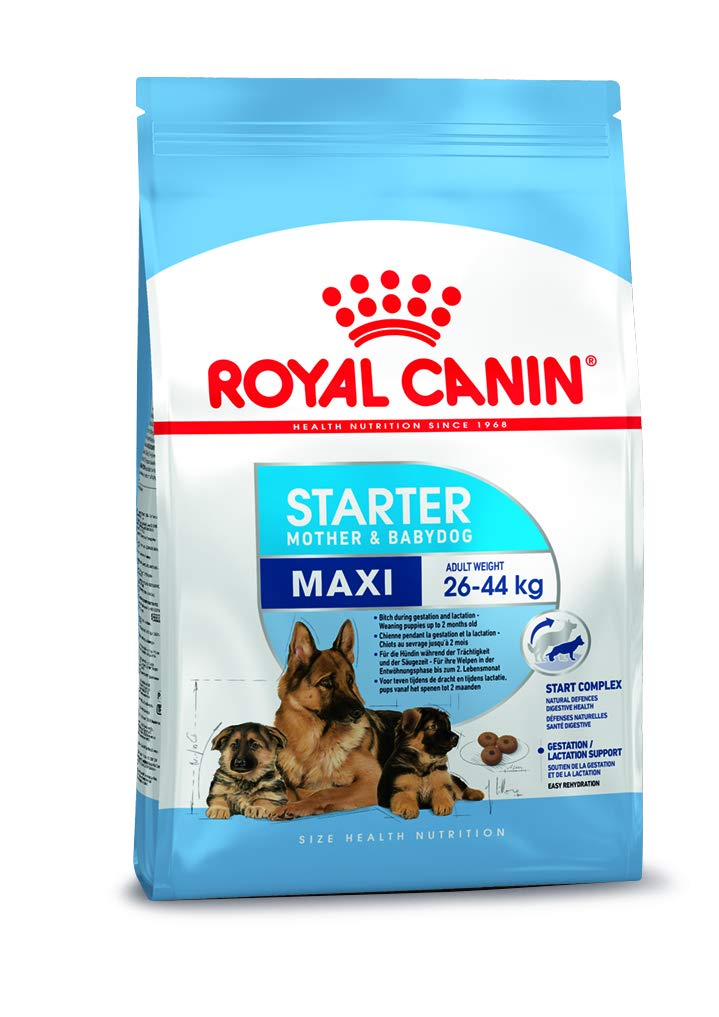 Royal Canin Maxi Starter Mother and Puppy Dry Food