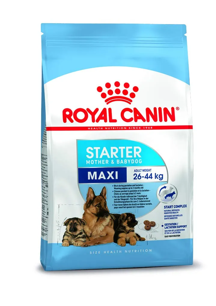 Royal Canin Maxi Starter Mother and Puppy Dry Food