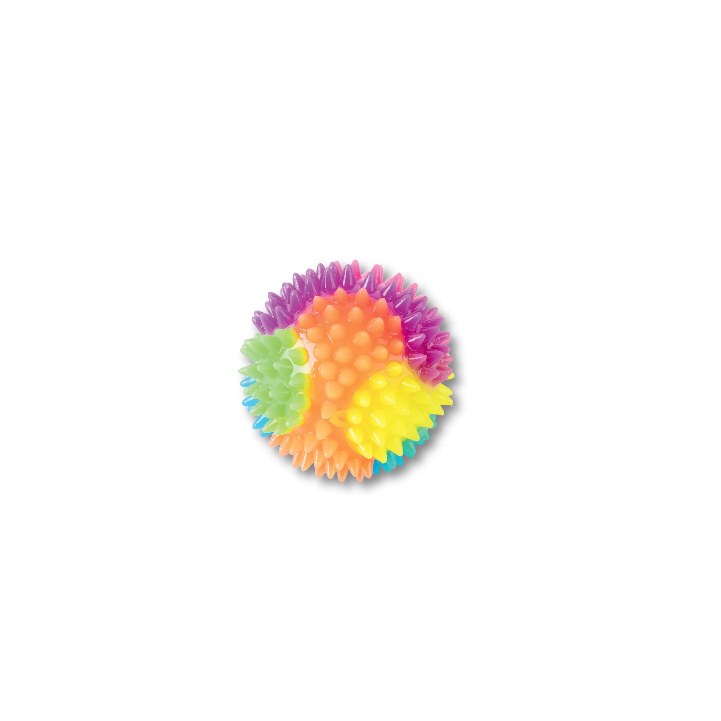 Companion Needs Multi Colour Spike Ball Toy