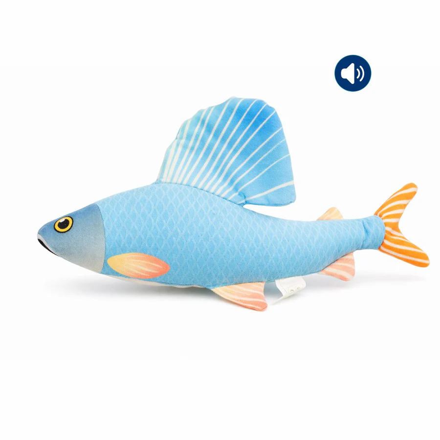 Dokitti Blue Grayling Fish