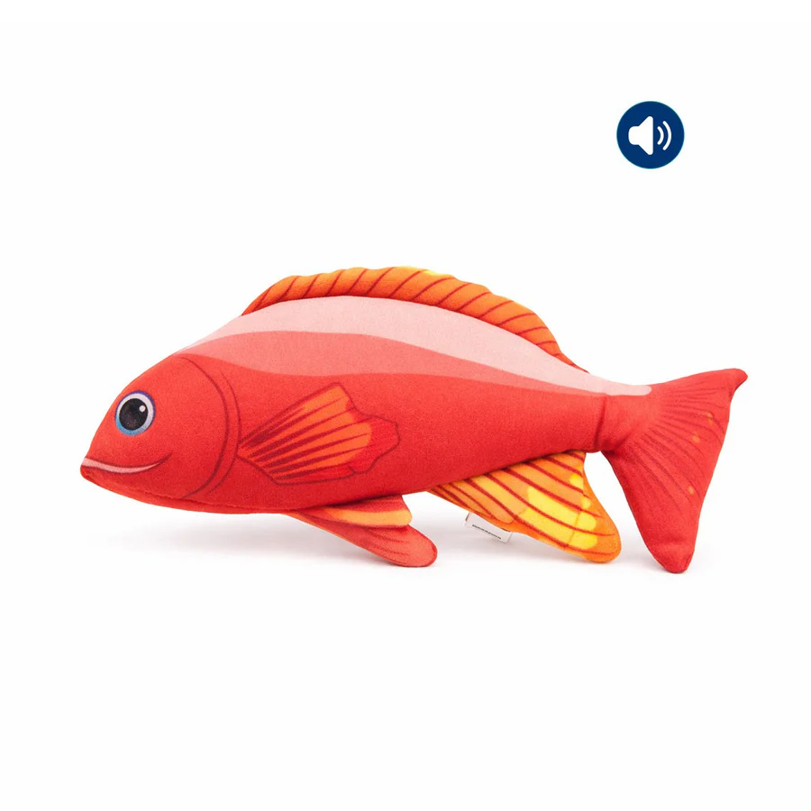 Dokitti Red Snapper Fish