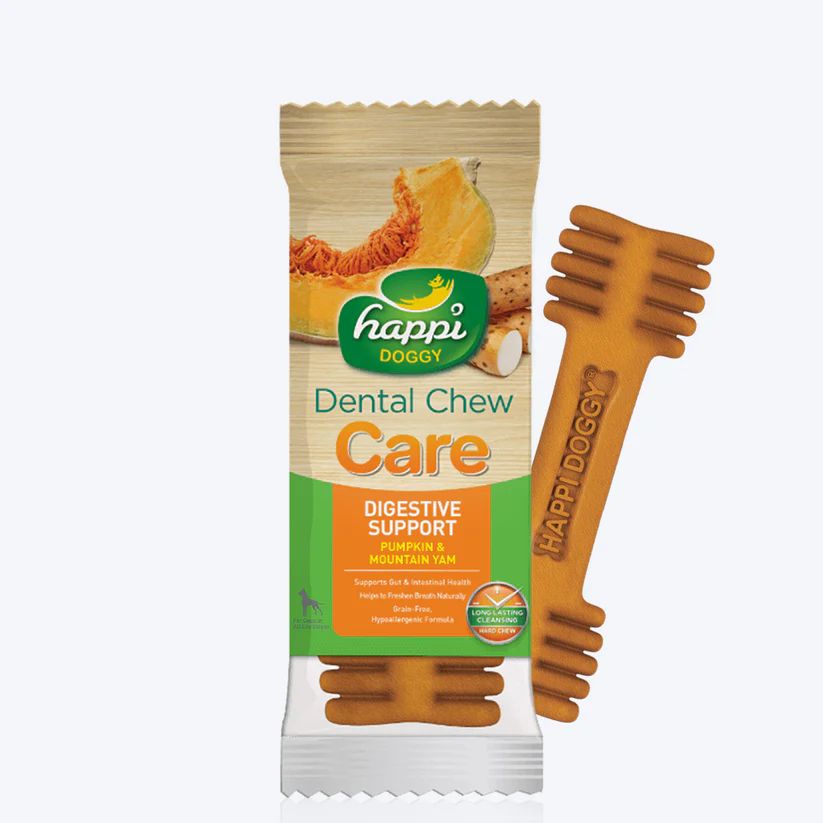 Happi Doggy Dental Chew Care Pumpkin & Mountain Yam Grain Free Dog Treat - Single