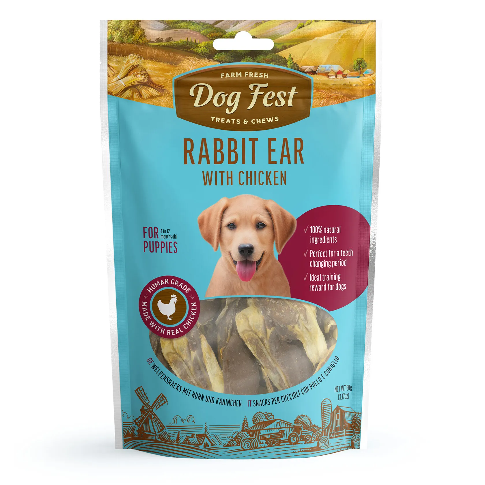 Dog Fest Rabbit Ears with Chicken for Puppies