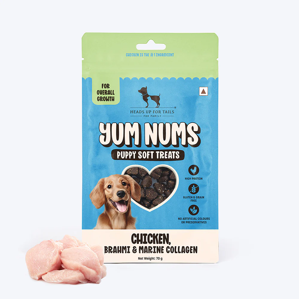 Heads Up For Tails Yum Nums Chicken, Brahmi & Marine Collagen Grain Free Puppy Soft Treats