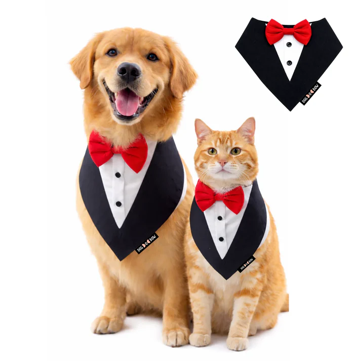 DOB Black Tux Bandana