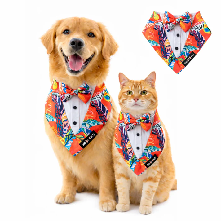 DOB Hawaii Tux Bandana