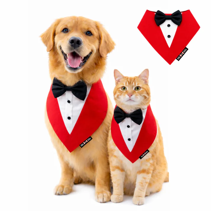 DOB Red Tux Bandana