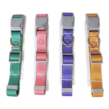 Companion Needs Eco Dual Colour Collars