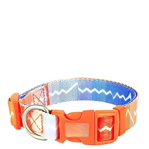 Companion Needs Eco Pulse Collar