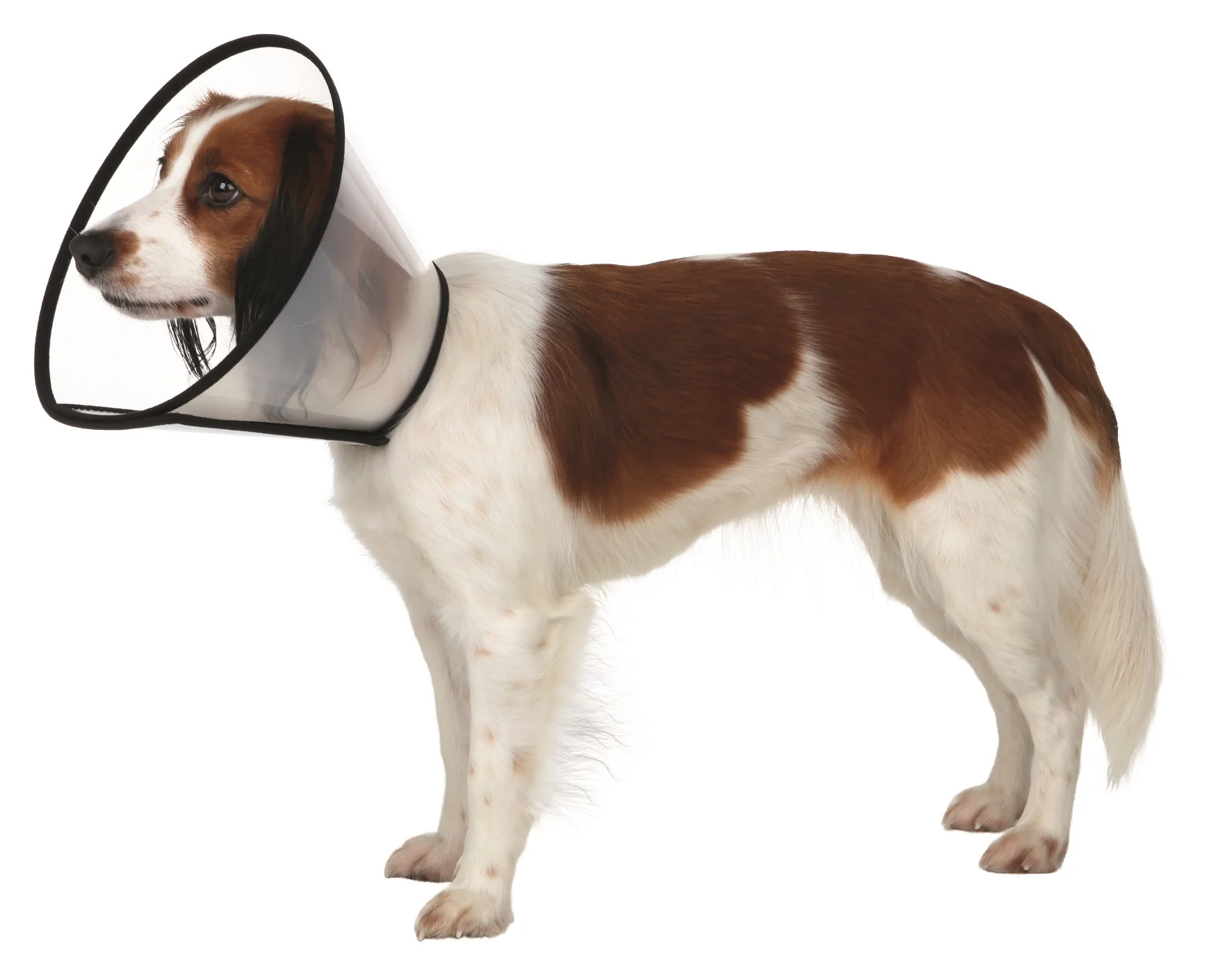 Trixie Protective E-Collar with Velcro