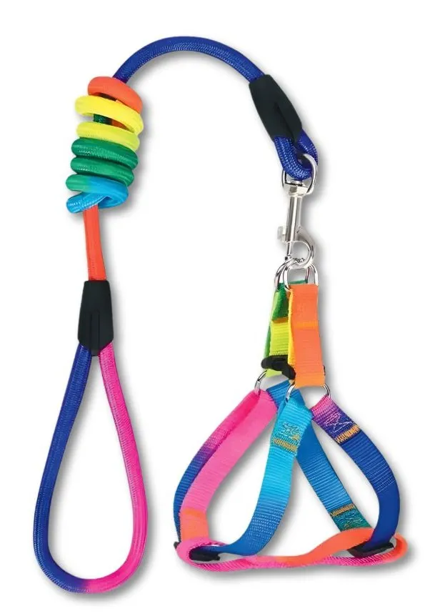Companion Needs Rainbow Body Belt with Rope Leash