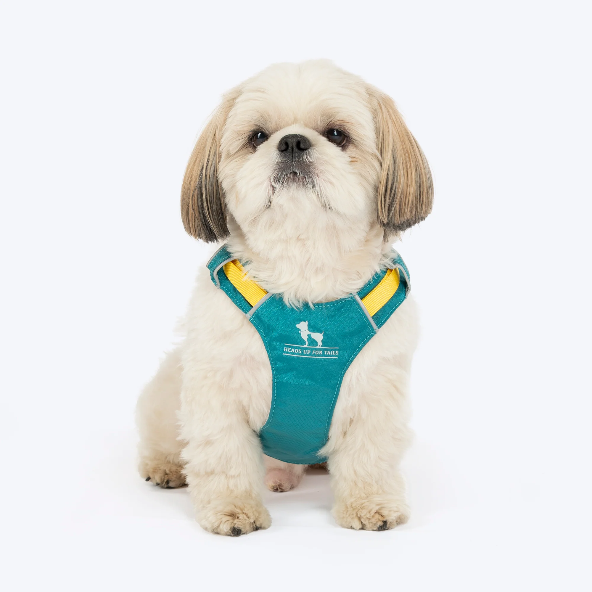 Heads Up For Tails Walkmate Pet Harness - Teal Green