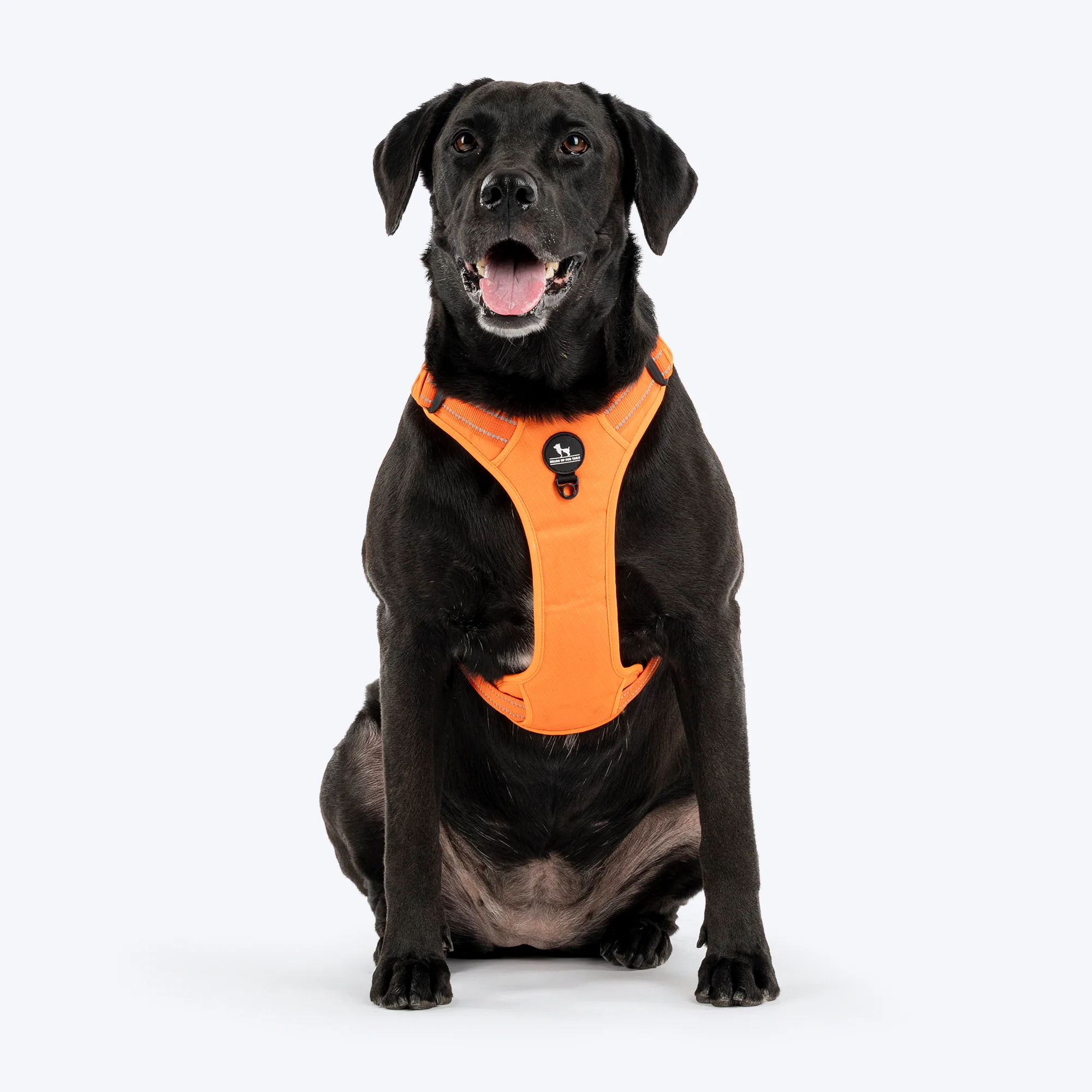 Heads Up For Tails Xplorers Dog Harness