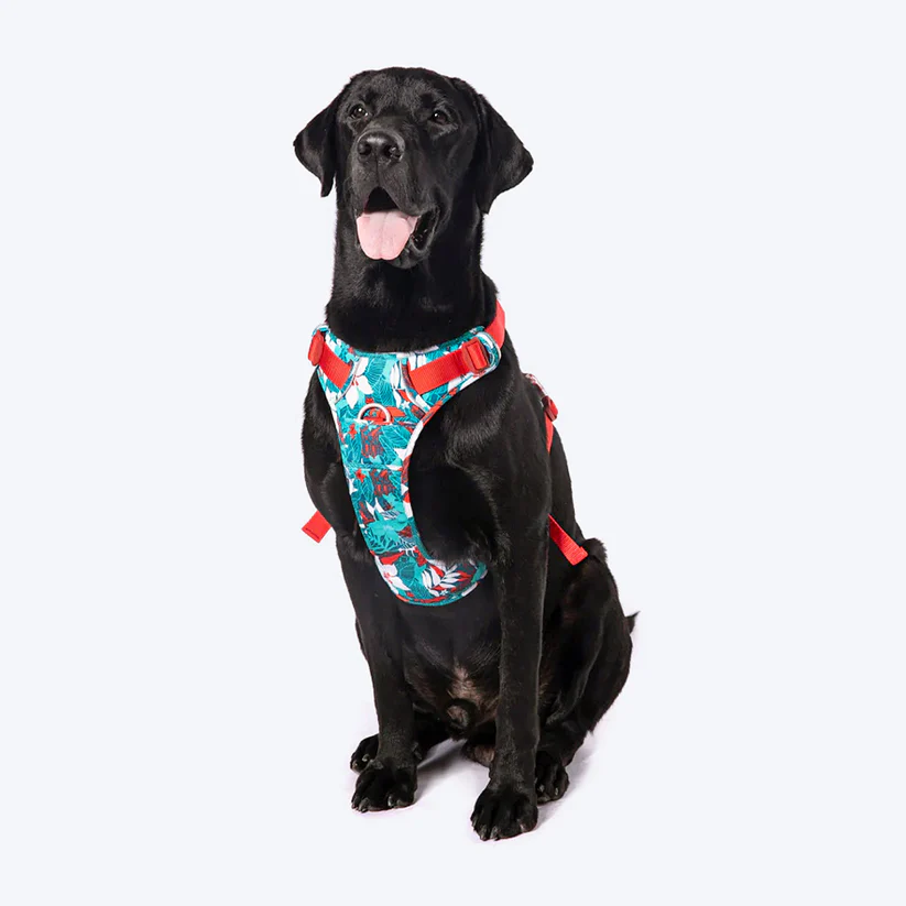 Truelove No-Pull Special Edition Harness XLCamouflage Blue