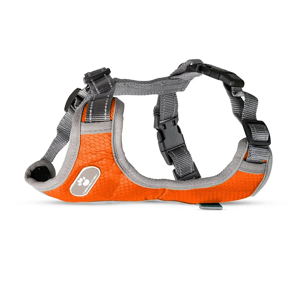 Whoof Whoof Bottom Padded Harness