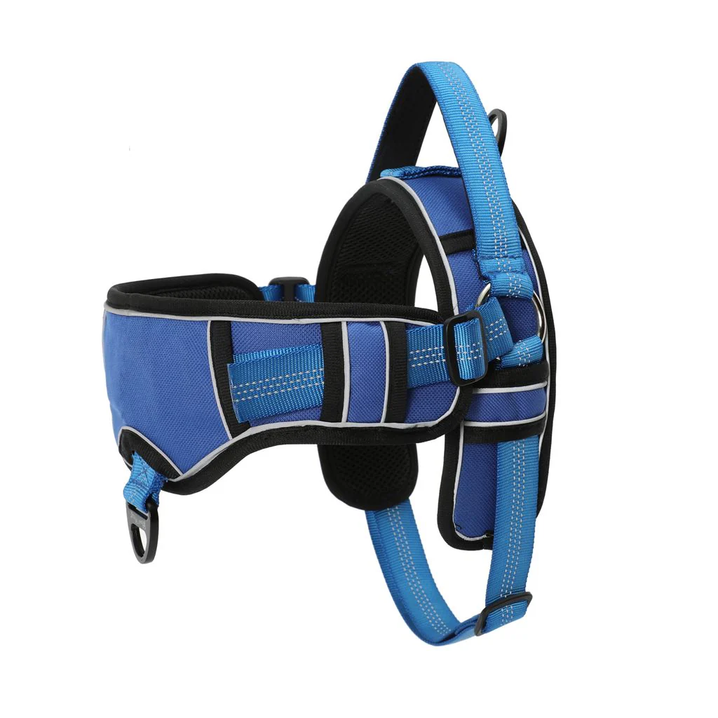 Whoof Whoof Flurry Full Body Harness with Leash