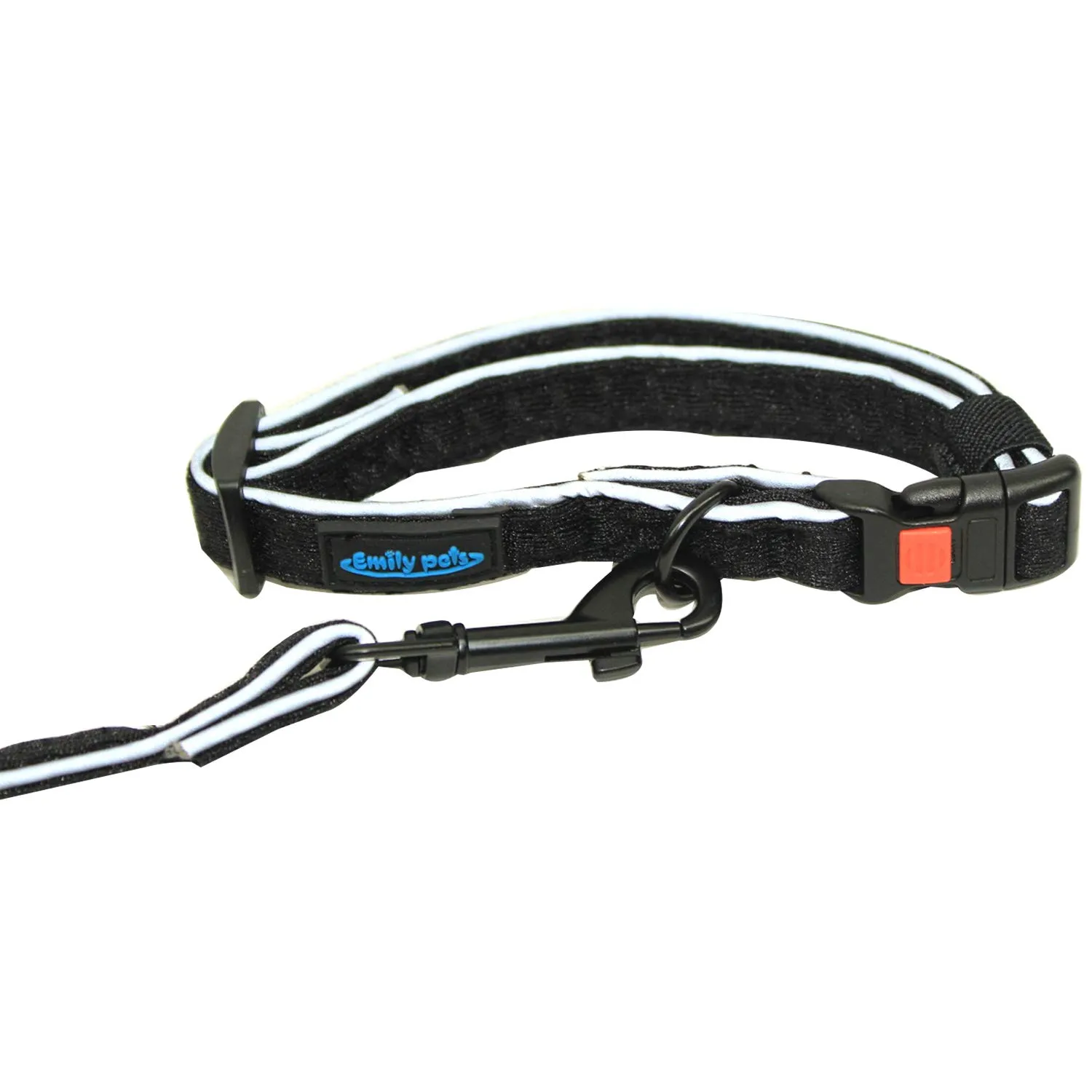 Reflective Dog Leash With Handle