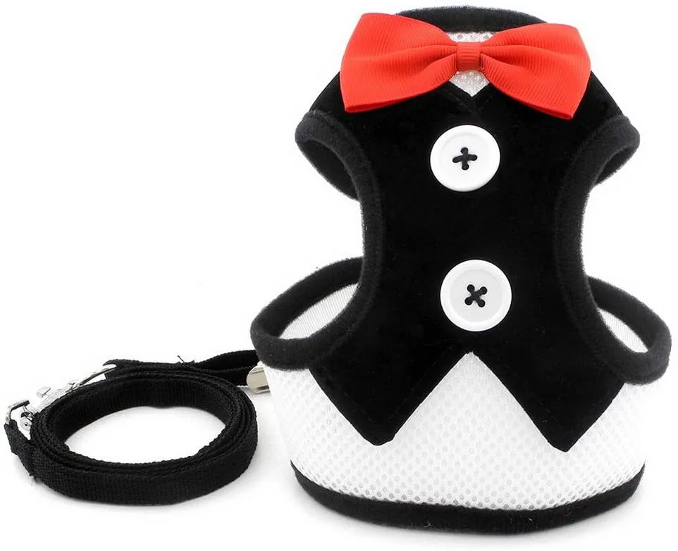 Whoof Whoof Bow Body Belt Plus Leash