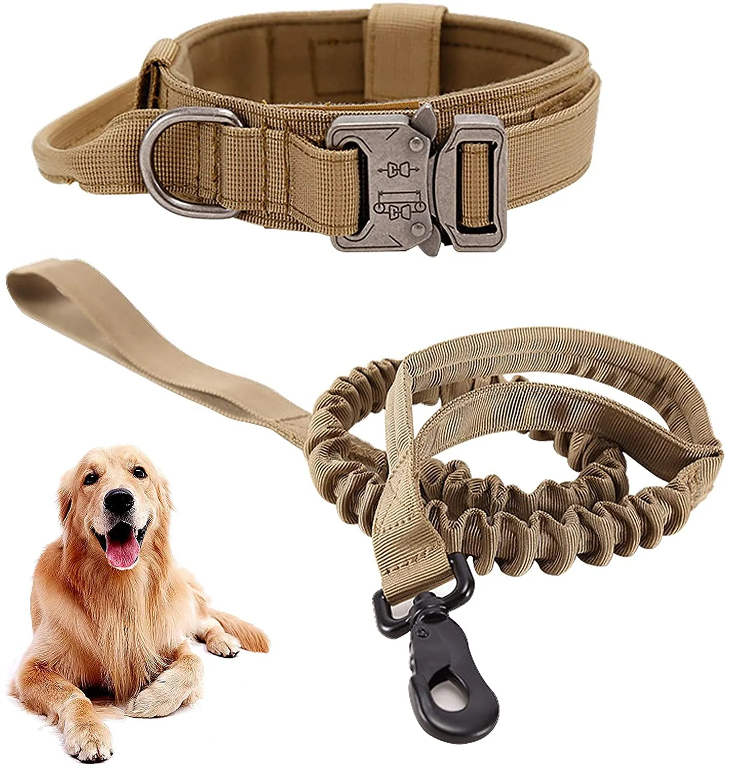 Whoof Whoof Bungee Leash