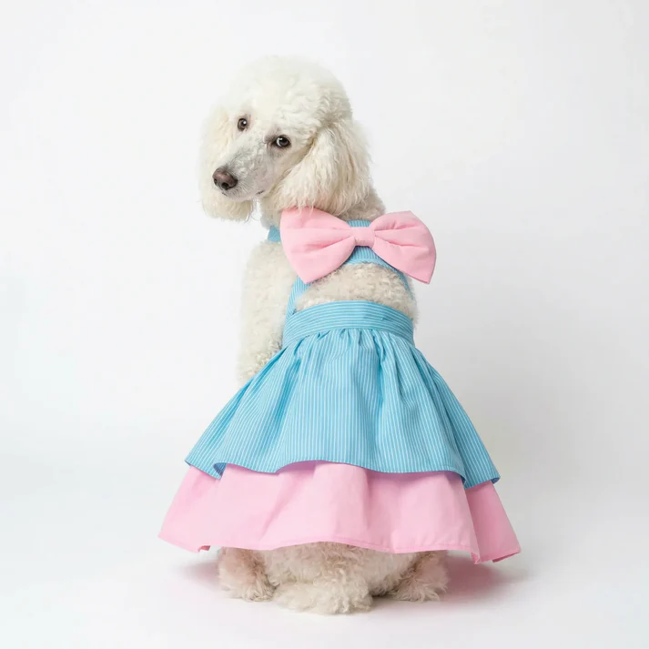 DOB Butter Cup Party Frock