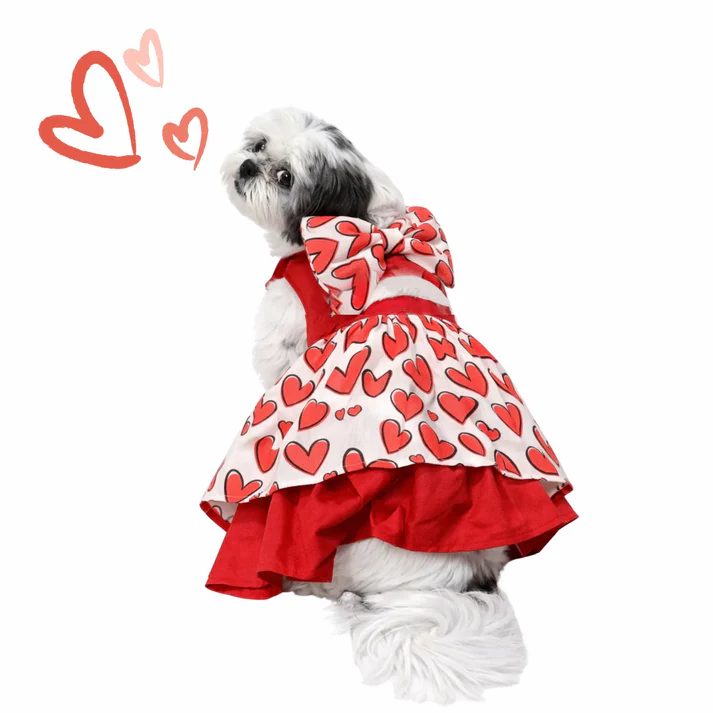 DOB Hearty Red Dress