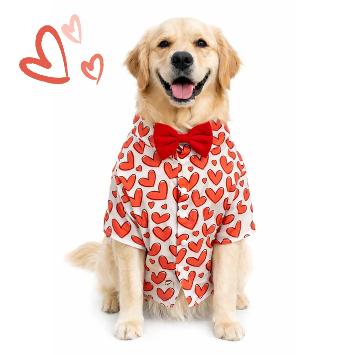DOB Hearty Red Shirt
